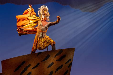 lion king costumes diy 6