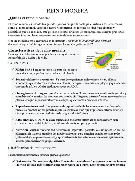 Reino Monera Pdf Las Bacterias Biología Celular
