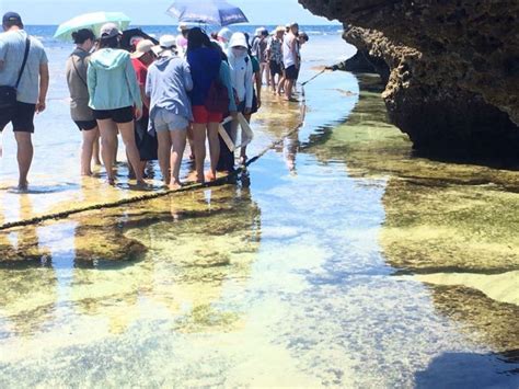 屏縣府積極面對 取得小琉球潮間帶觀光與生態平衡 中華日報 中華新聞雲