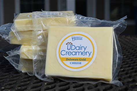 Delaware Gold Block (8oz) - UDairy Creamery Online Store