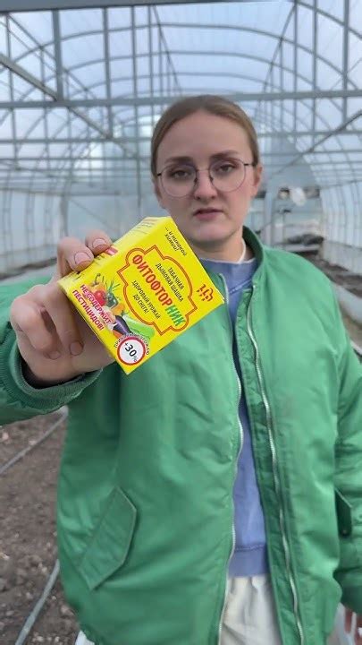 Не используйте серные шашки в теплице! - YouTube