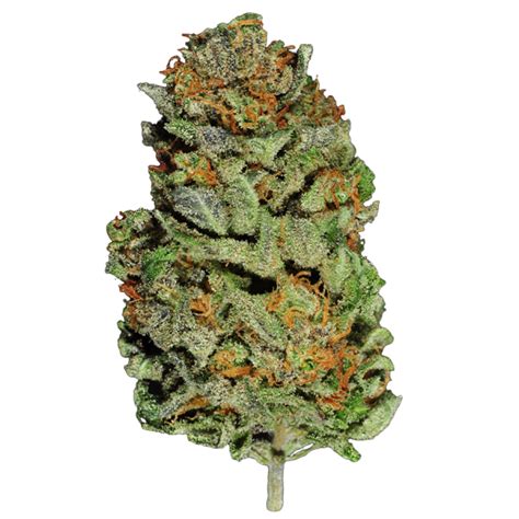 Семена каннабиса Белая Вдова (White Widow) купить с доставкой по Украине