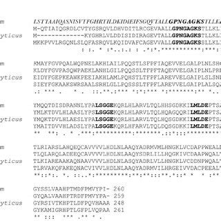 Comparative Chromosomal Arrangement Of Heme Uptake Cluster Genes In