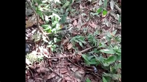 20160630 102733 XVIDEOS