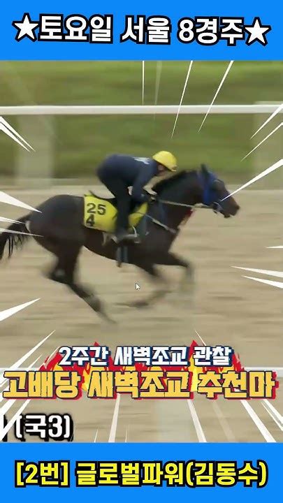 9월20일 토요경마 8경주 의욕적인 훈련 보이며 입상 노린다 2주간 훈련변화 보인 새벽조교쏘스마 강백호경마 Shorts Youtube