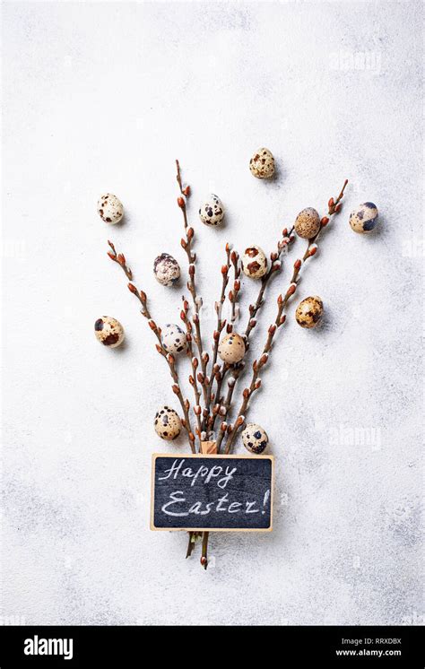 Easter Background With Quail Eggs And Pussy Willow Stock Photo Alamy