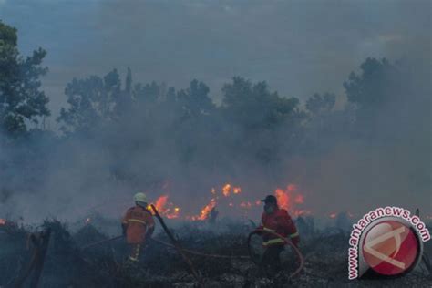 Titik Panas Terdeteksi Satelit Di Wilayah Aceh Antara News