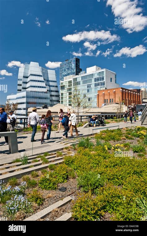 High Line New York City Iac Building Frank Gehry Architecture Chelsea