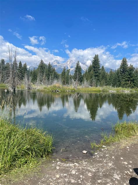 Experts explain how the ken mcelroy wealth system functions 7