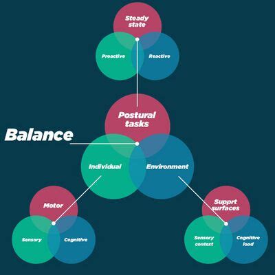 Postural Control Physiopedia