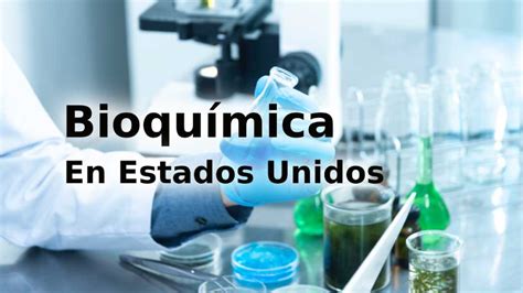 Mejores Universidades Para Estudiar Veterinaria En Estados Unidos