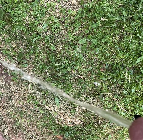 A Healthy Stream Nudes Pissing Nude Pics Org