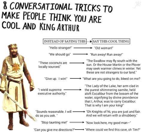 42 "Monty Python And The Holy Grail" Memes That Smell Of Elderberries