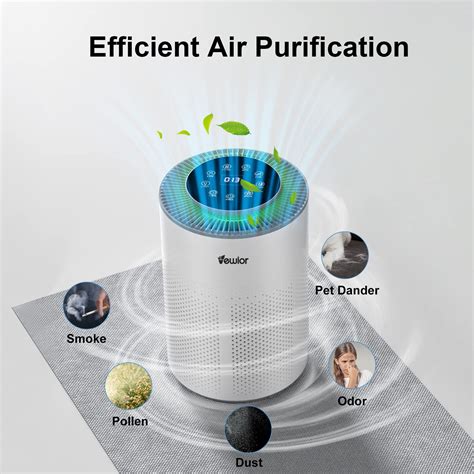 Will An Air Purifier Help With Pet Odors at Jayden Nobbs blog