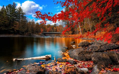 autumn scenery wallpapers top  autumn scenery backgrounds