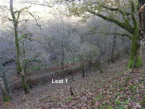 Copper Mines (and other features) in Whitchurch Down area – Old