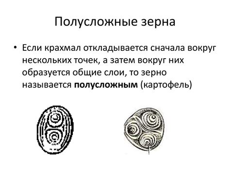 Эргастические вещества растительной клетки - online presentation