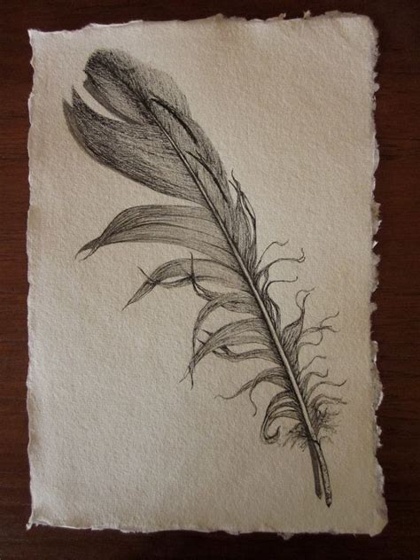feather ink drawing