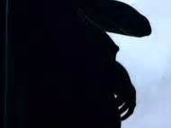 Sólveig Arnarsdóttir Nude Pics Videos Sex Tape