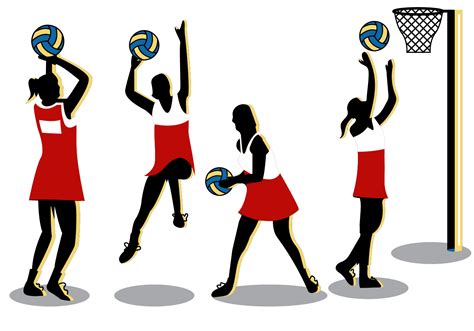 Netball Net Vector Art Icons And Graphics For Free Download