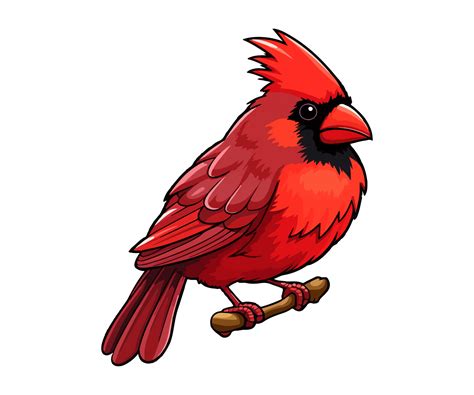Red Cardinal On Tree Branch Red Cardinal Logo Red Cardinal Sticker
