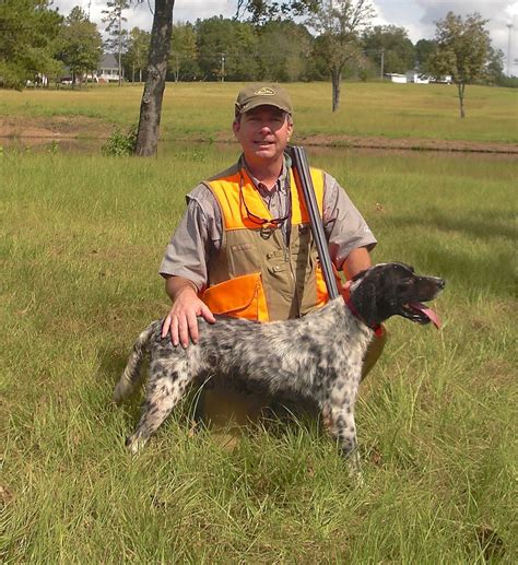 Lowcountry outdoors: Quail Hunting 101 - Walking Behind Bird Dogs