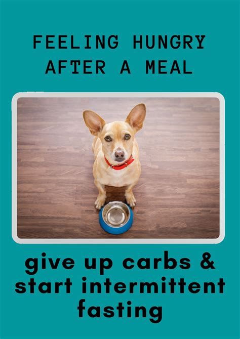 Why do you feel hungry after eating?
