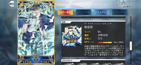 【FGO攻略】今更聞けないFGO基礎知識「宝具レベル」とは？ | ゲームしてるん