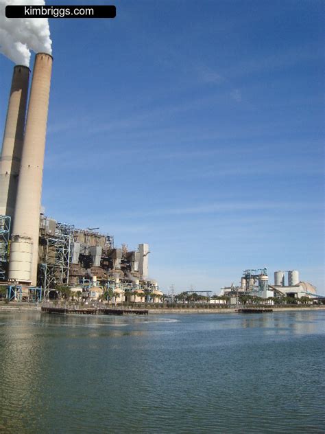 Manatee Viewing at Tampa Electric - kimbriggs.com