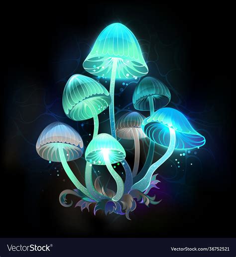 Glowing Mushroom Drawing Np