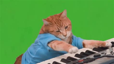 Кот за клавиатурой Keyboard Cat - YouTube