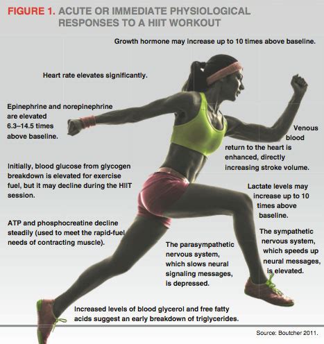 Metabolic Effects Of Hiit