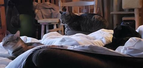 Sinnocent Nude Porn Pictures XXX Photos Sex Images PICTOA