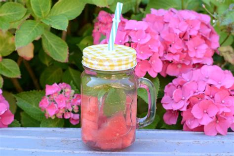 Water Met Smaakje Maak Zelf Je Fruitwater Veel Recepten Viadomo