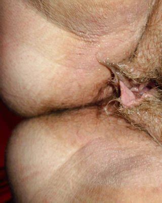 Dumb Porn Pics Pictoa