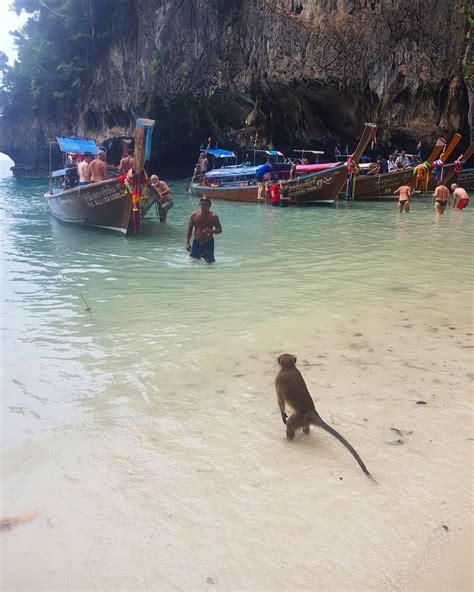 Monkey Beach Ko Phi Phi Relaxing At The Beach Or Taking Pictures