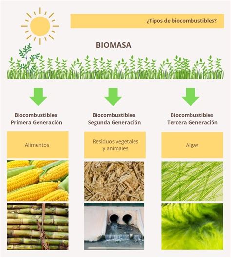 Biocombustibles