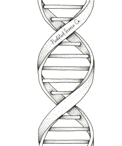 Black and White DNA helix | Black and white, Dna helix, Art inspiration