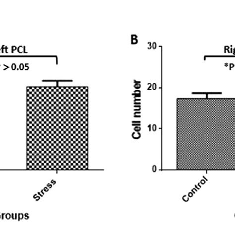 Cell Count In The Polymorph Cell Layer Gyrus Dentatus A Inter Group Download Scientific