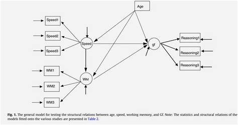 Iq S Corner Gs Working Memory Gf Developmental Differential Psych