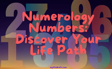 Numerology Numbers: Discover Your Life Path — MyLifeDraft