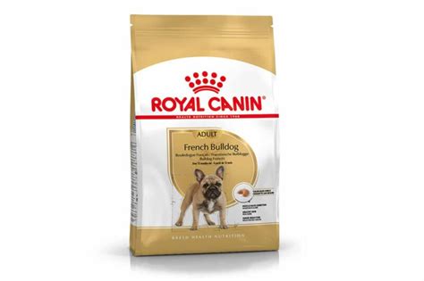Royal Canin French Bulldog Adult online kopen? → Dierencompleet.nl