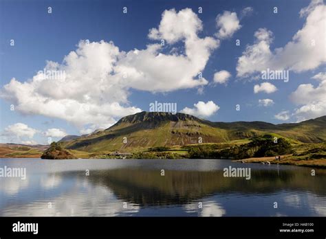 View Across The Water At Cregennan Lakes Towards Cadair Idris In The