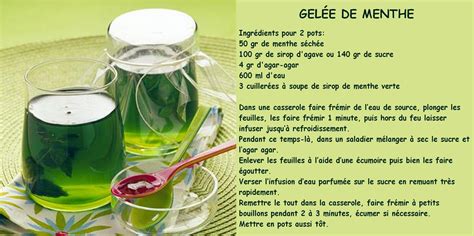 GELÉE DE MENTHE Ingrédients pour 2 pots 50 gr de menthe séchée 100 gr