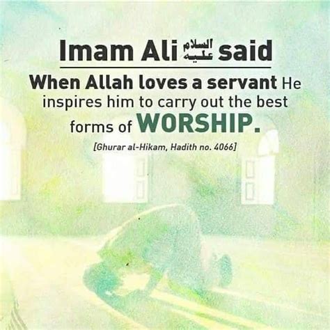 Pin On Ahlulbayt Networks Quran Quotes Inspirational Ali Quotes Hadith Quotes