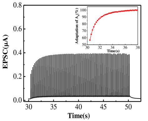 epsc response  measured  applying  trains  pulses
