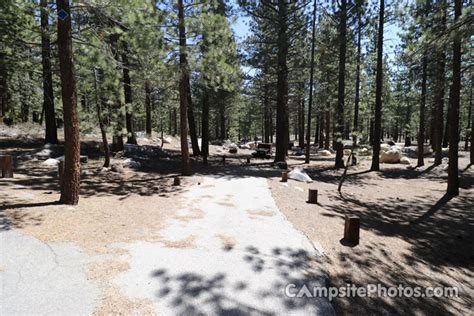 New Shady Rest Campsite Photos Reservations And Camping Info
