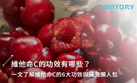 維他命c怎麼吃？何時吃最有效？掌握6大功效與建議攝取量！｜生活情報局｜suntory Wellness