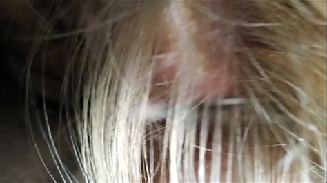 Paid Blowjob Search XVIDEOS