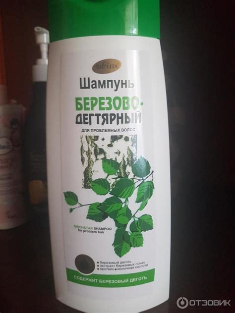 Отзыв о Шампунь Белита "Березово-дегтярный" | "Во поле берёза стояла..."